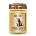 Smitten Kitten - Large Jar Candle