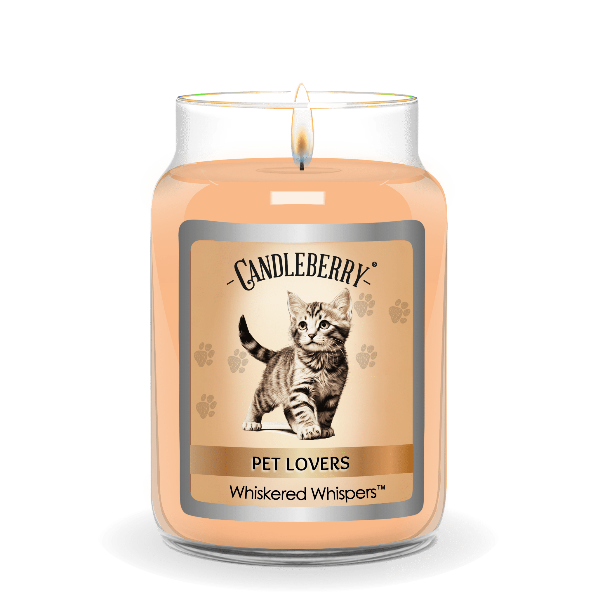 Whiskered Whispers - Large Jar Candle